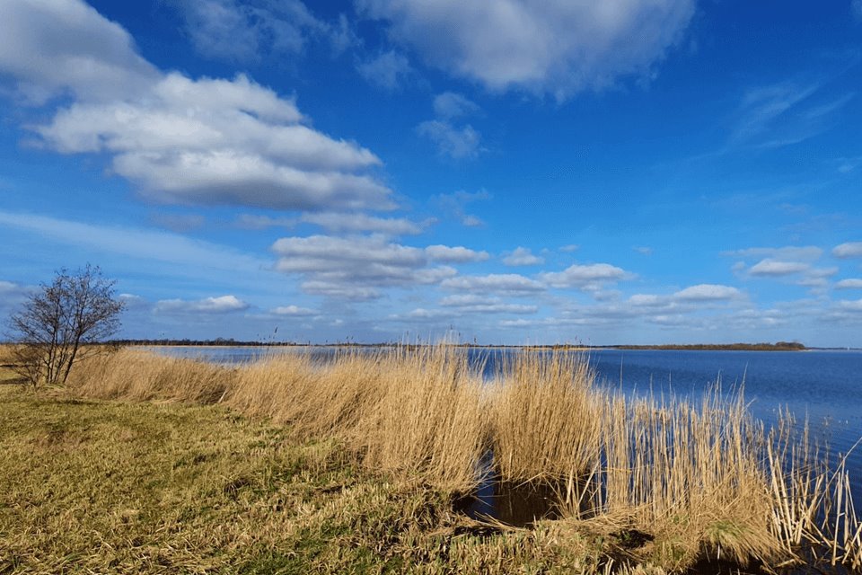 Nieuwe week: geregeld zon