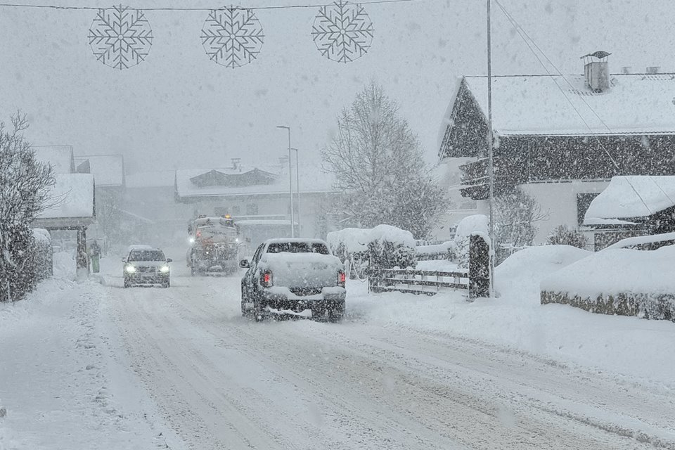 Tweede krokusweek start in de Alpen met kou en sneeuw
