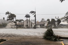 Hoe orkaan Irma haar naam kreeg