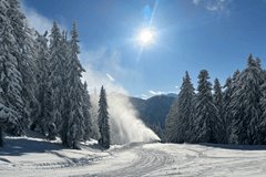 Wintersport: sneeuwdump Alpen, daarna zeer koud