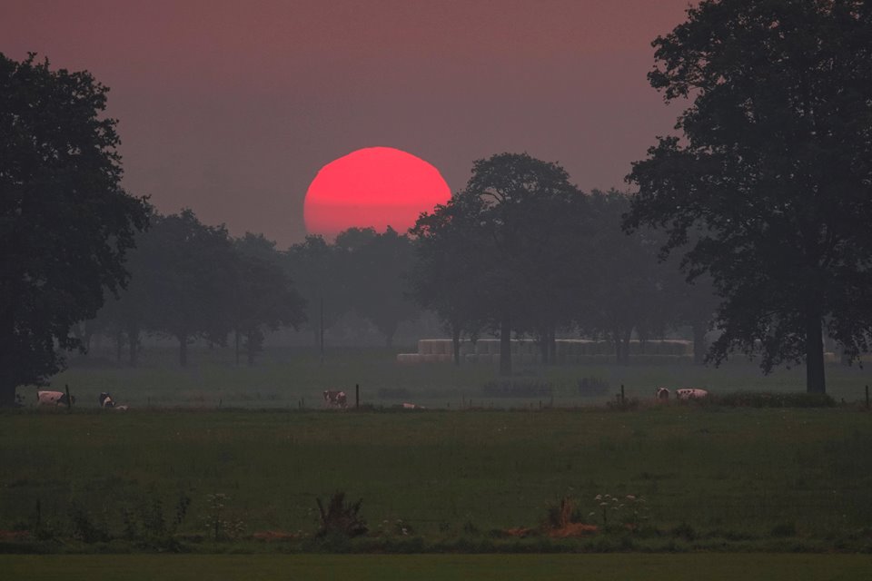 Weekend weerbericht: gematigd warm, enkele buien