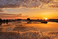 Komende week vaak rustig zomerweer