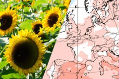 30-daagse: krijgen we nog (na) zomerweer?