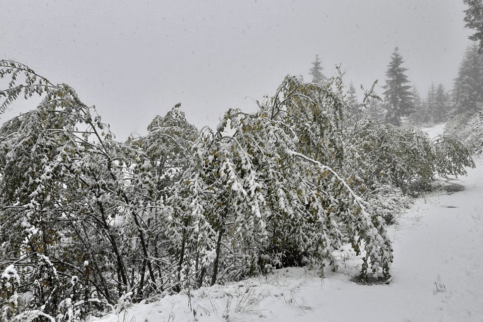 Extreme regenval en vroege sneeuwdump zet Centraal Europa op scherp!