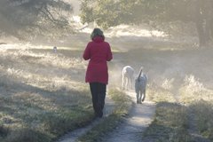 Weekverwachting: sterk wisselvallig herfstweer