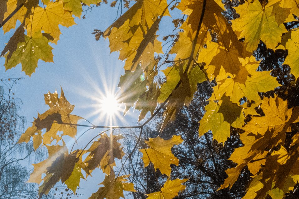 Weekverwachting: prachtig najaarsweer na regenachtige maandag