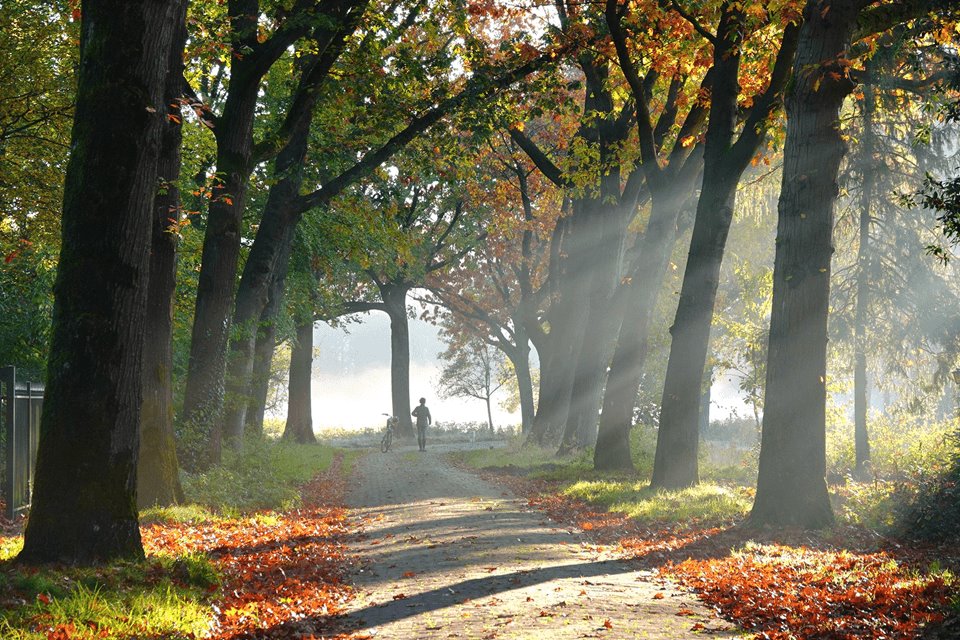 Weekendweer: tot zaterdag zeer zacht met zon