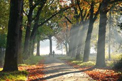 Weekendweer: tot en met zaterdag zeer zacht met zon