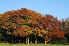 Weekendweer: meer zon, lagere temperatuur