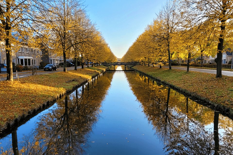 Oktober 2024: vrij droog en zeer zacht