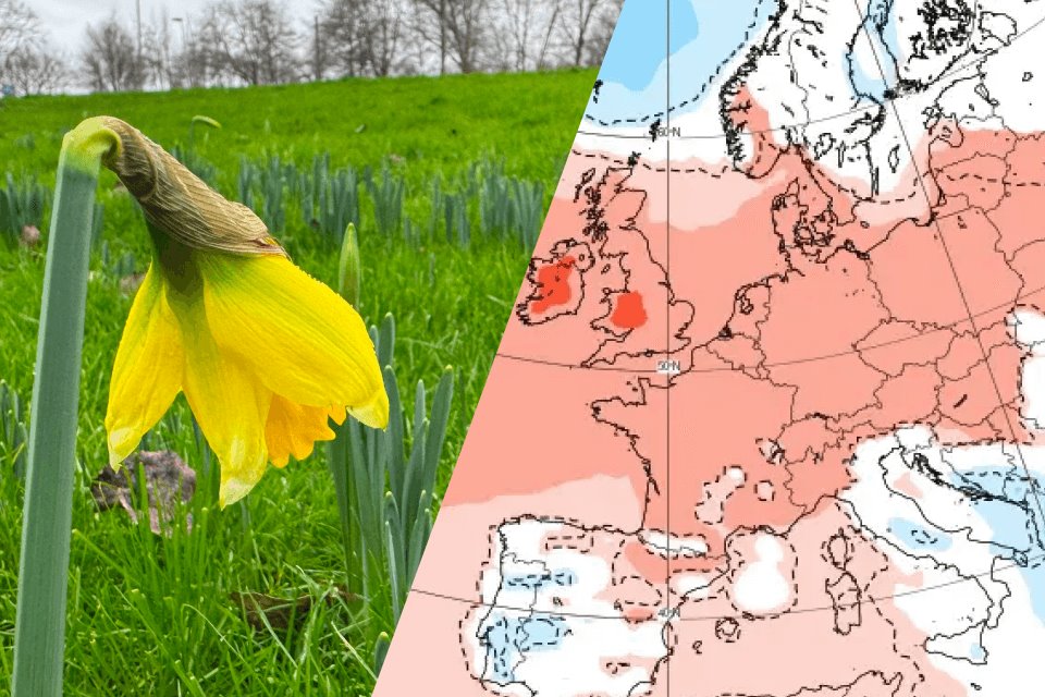 30-daagse: zo start het jaar 2025