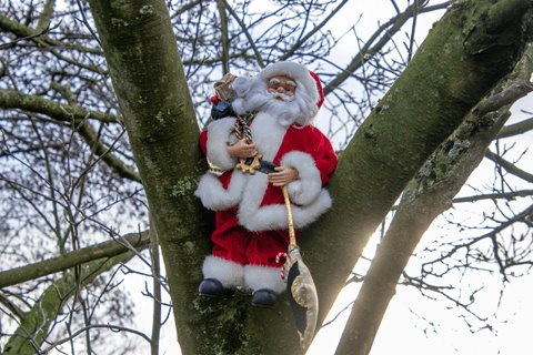 Weekverwachting: zachte kerst, kans op zon neemt toe