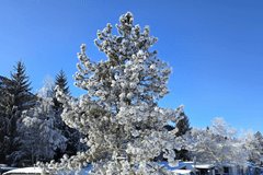 Wintersport: eerst nog volop zon, daarna kou en sneeuw