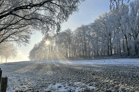 Weekendweer: rustig met een vrij grote kans op zonneschijn