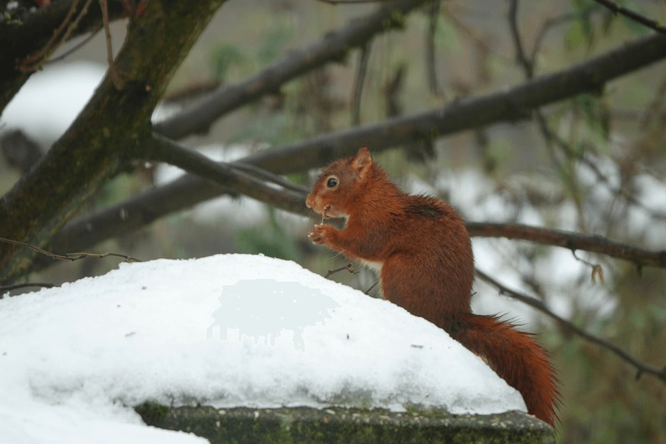 Weekverwachting: winters, maar grote onzekerheden