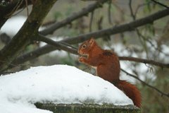 Weekverwachting: winters, maar grote onzekerheden