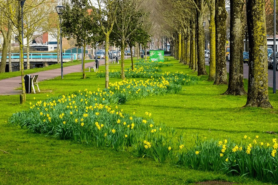 Weekendweer: zo lenteachtig blijft het