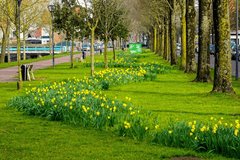 Weekendweer: zo lenteachtig blijft het