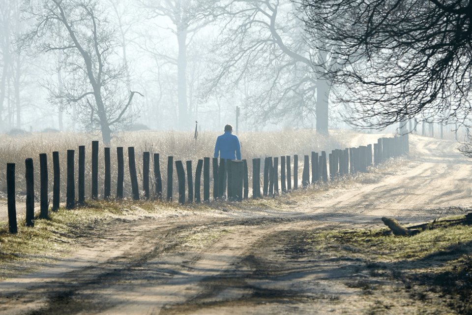 Weekverwachting: lenteweer in aantocht