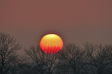 Winter en dus de kortste dag