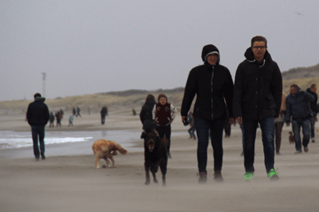 Zet de kerstbomen vast op de Wadden