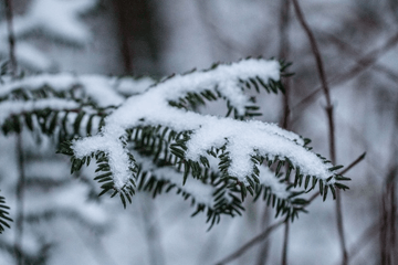 Winterweer steviger in de weerkaarten