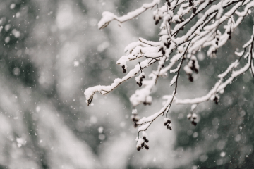 Plaatselijk flinke sneeuwval in avond of nacht