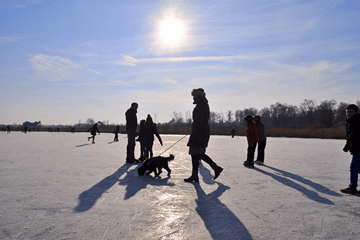 Januari 2017; Koud, droog en zonnig