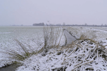 Warmetruiendag