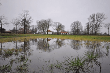 Kletsnat begin van de lente