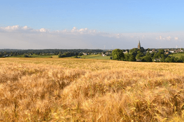 Zomers weekend met zeer warme Vaderdag