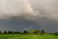 Stevige buien, lokaal veel regen