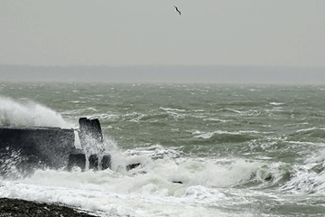 Woensdag 1e storm van 2018