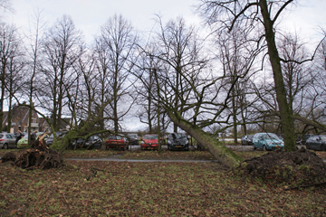 Januari 2018 bijzonder zacht