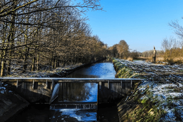 Uit de winterdip door zonnige februari