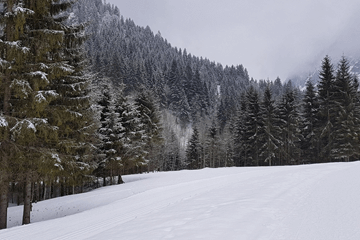 Zuid-Alpen nog sneeuw tot het weekend