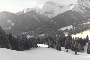 Wisselvallig beeld in de Alpen