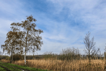 Weekend: Zaterdag beter dan zondag