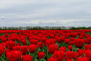 April 2018: bijzonder zachte maand