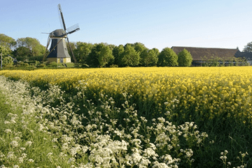 Zomers weer houdt nog even aan