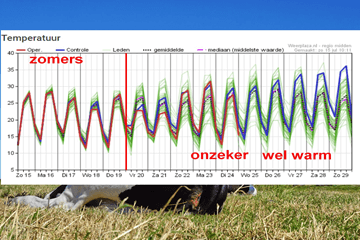 Kleine barstjes in tot nu toe extreem droge zomer 