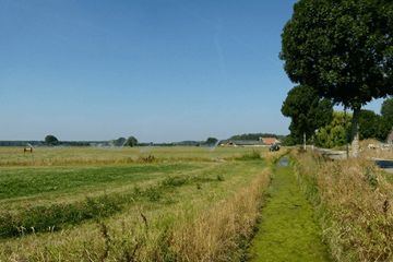 Tropische hitte in Nederland