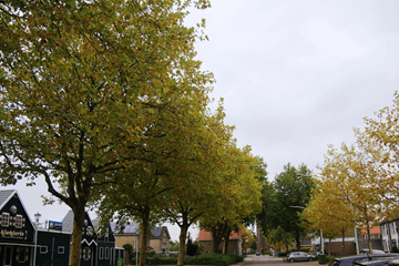 Oktober begint wisselvallig