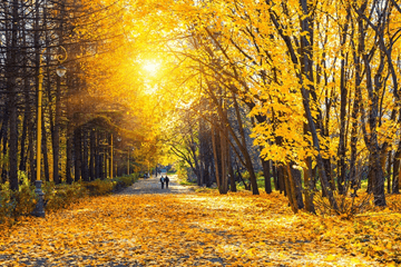 Het weer in de herfstvakantie