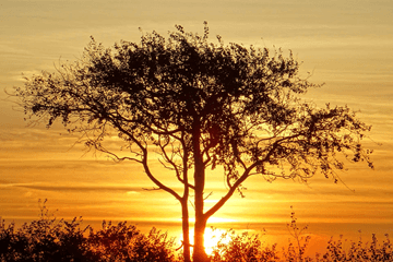 Oktober: Alweer een warme en droge maand