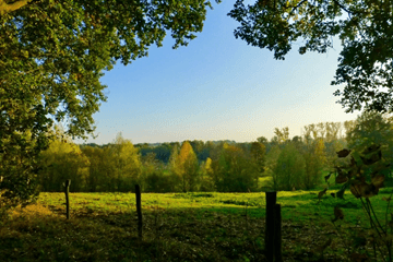 Hoge temperaturen op komst: opnieuw records?