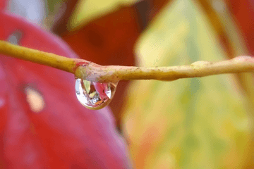 Herfstweer keert terug