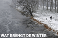 Wat brengt de winter?