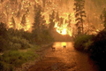 Natuurbranden Californië
