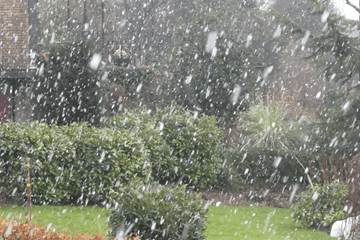 Kans op sneeuw en gladheid